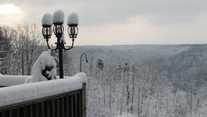 A bench with snow on it, overlooking a snowy forest. - Garden Inn Bed & Breakfast at Bee Rock (Monterey)