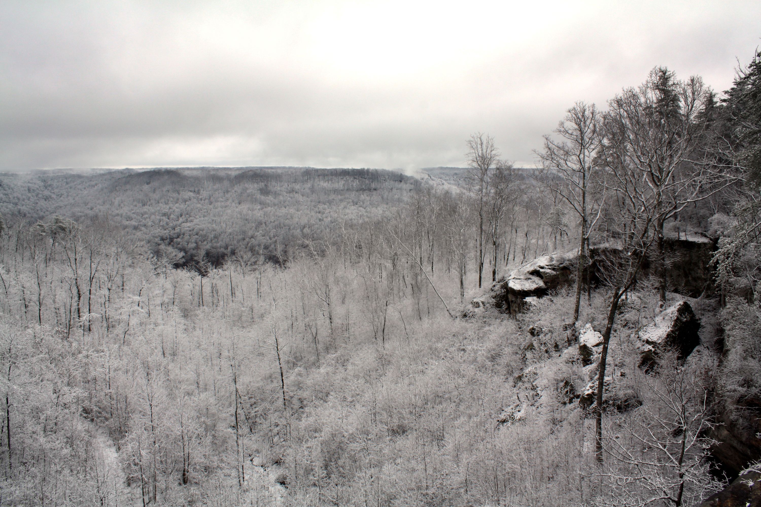 A forested landscape with a rocky outcrop and a view of distant hills.