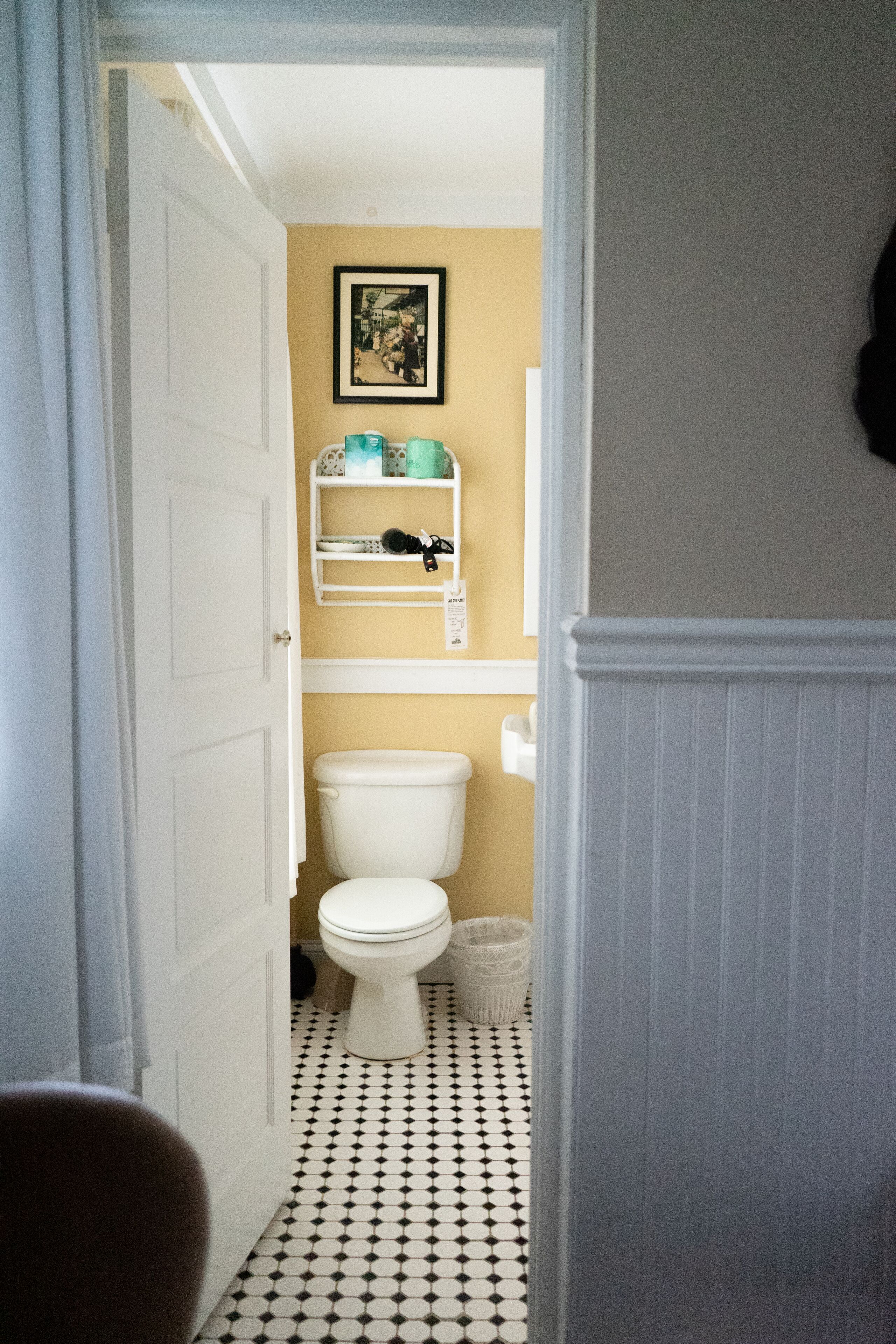 A narrow hallway leading to a bathroom with a toilet, a shelf with toiletries, and a framed picture on the wall.