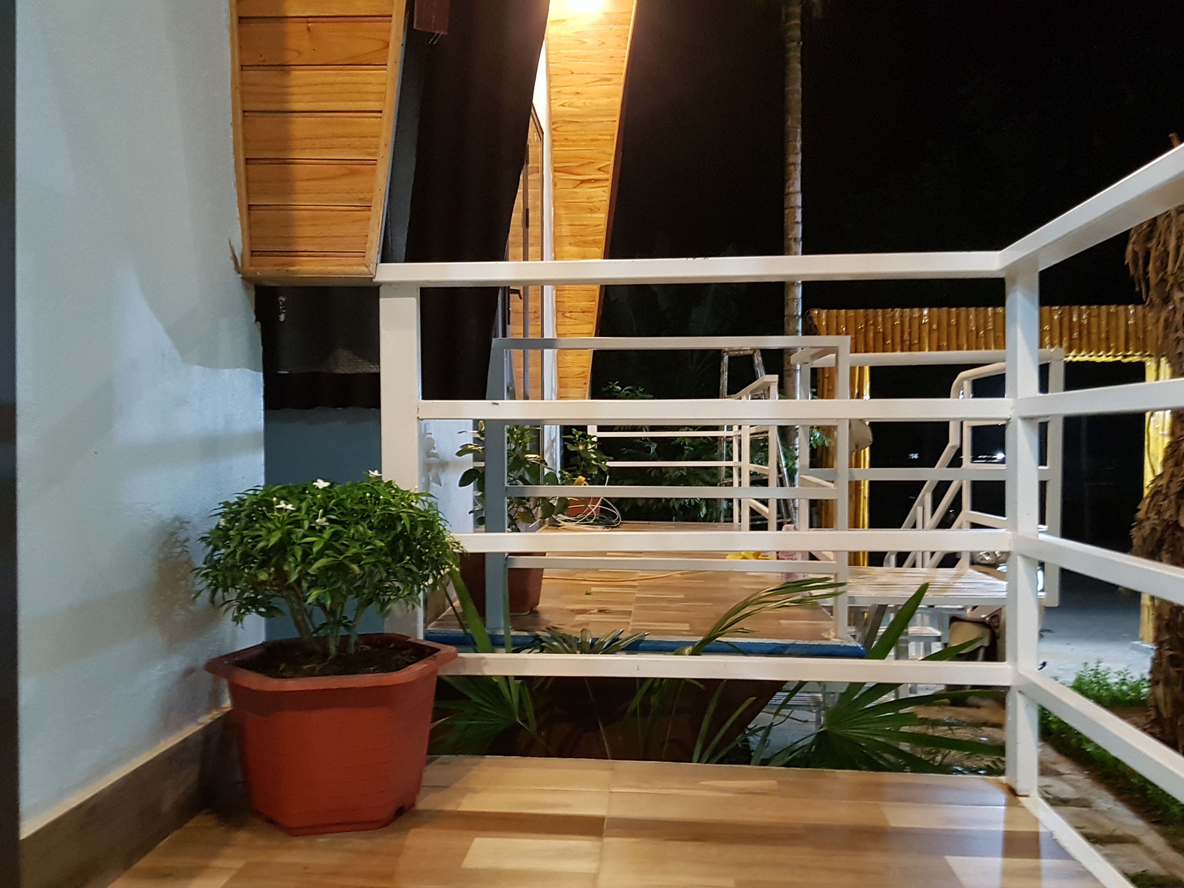 A wooden staircase with a white railing, a potted plant, and a view of the outside.