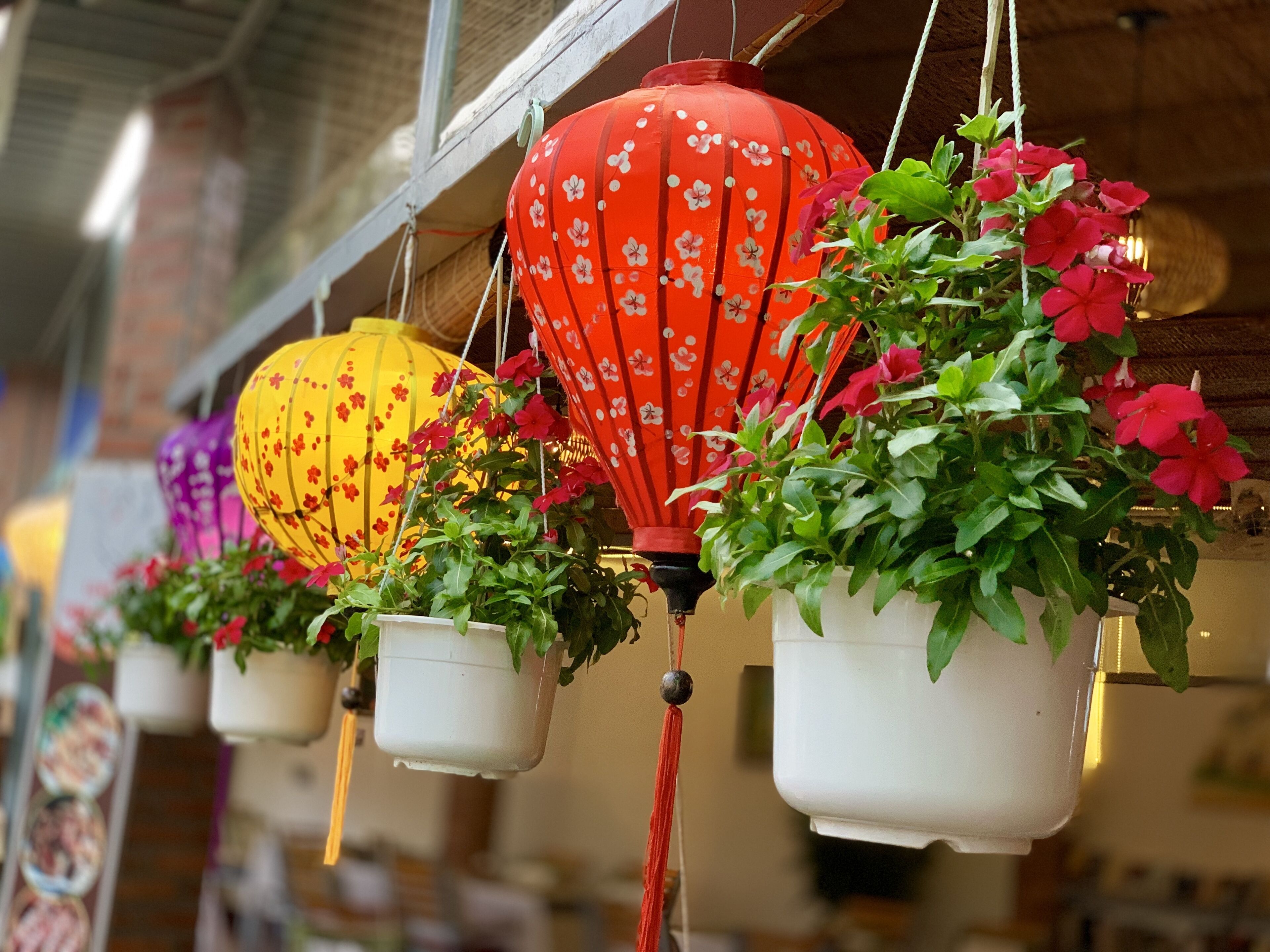 Photo - Canary Bungalow