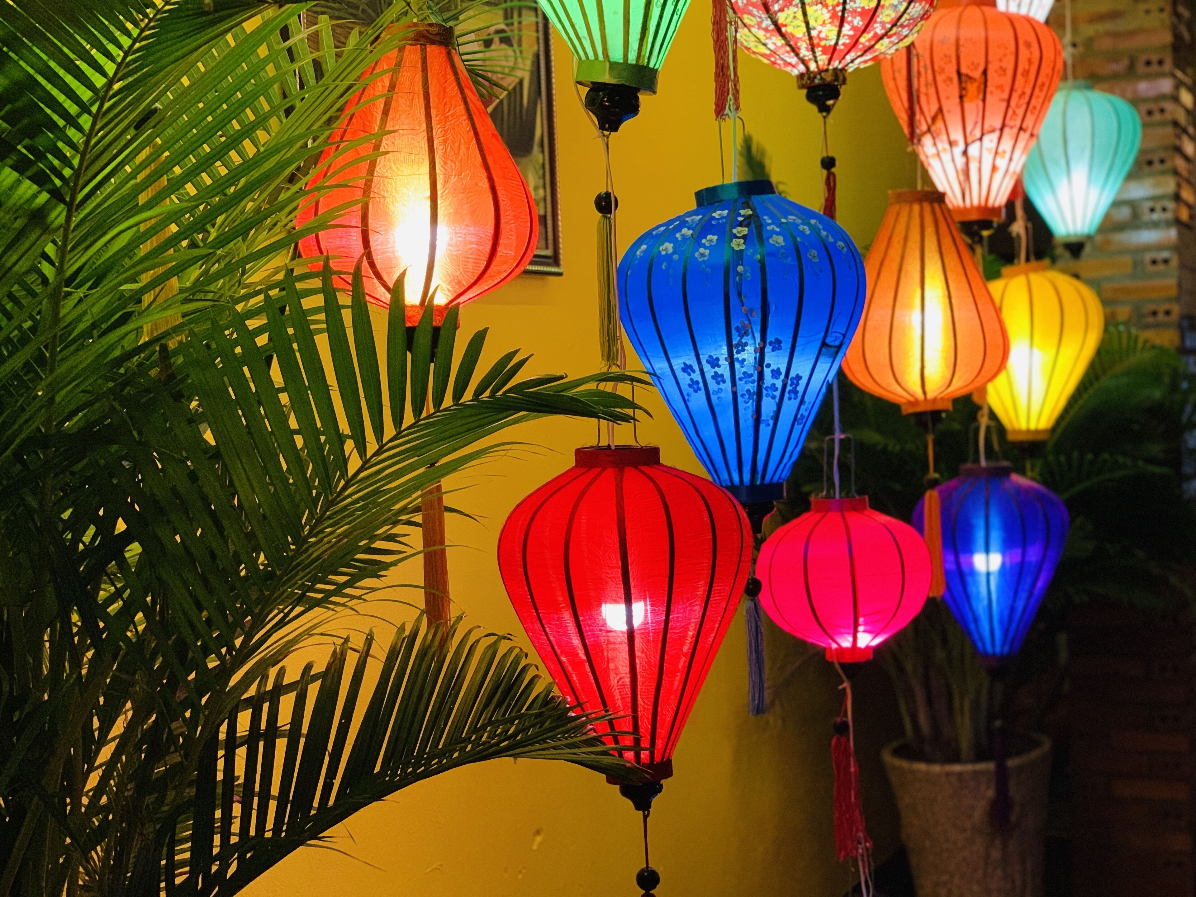 Photo - Canary Bungalow