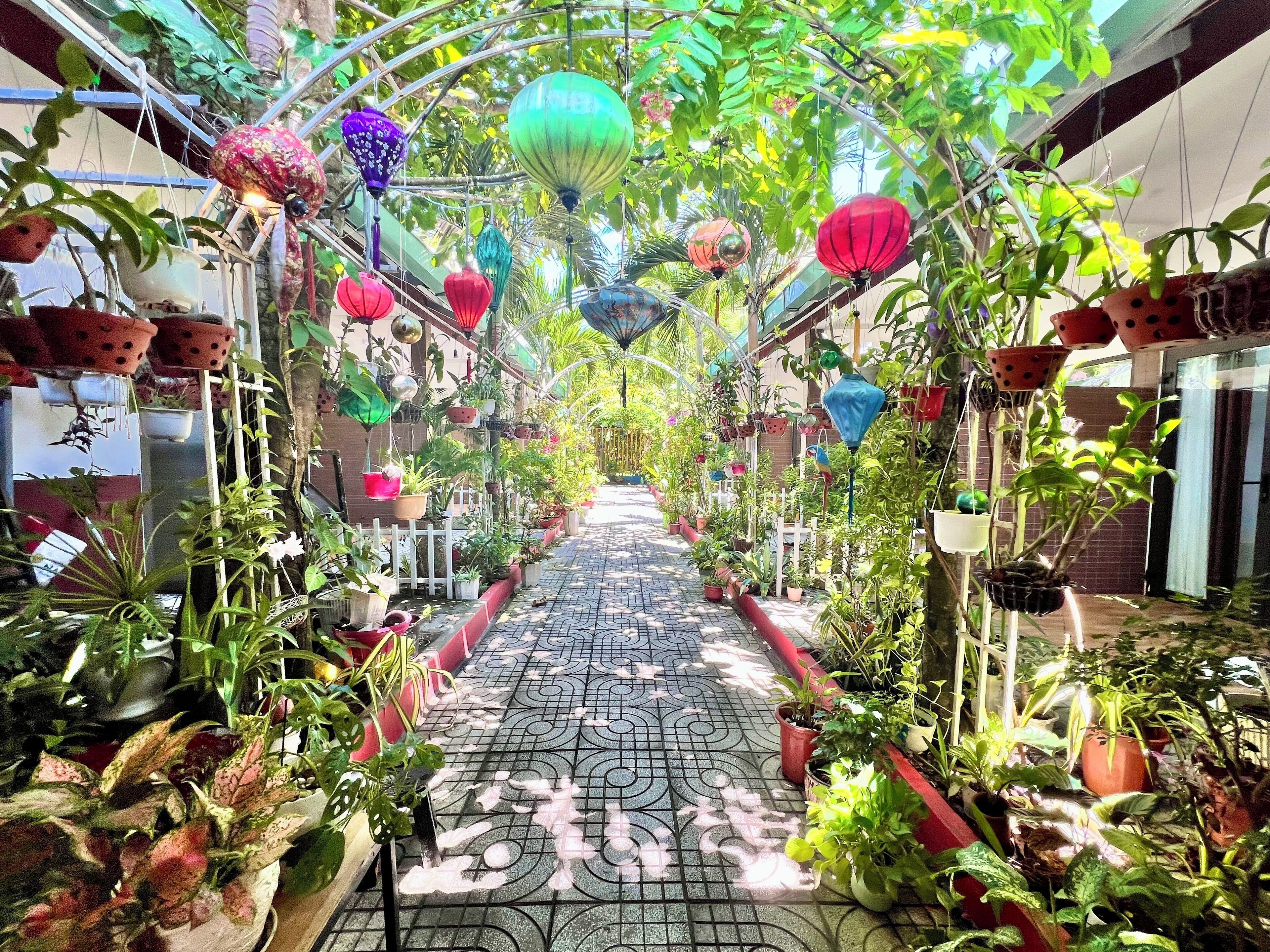 Photo - Canary Bungalow