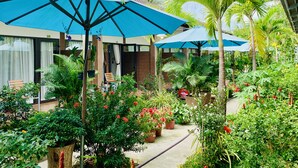 Un espacio exterior exuberante con plantas en macetas, un camino y sombrillas azules.