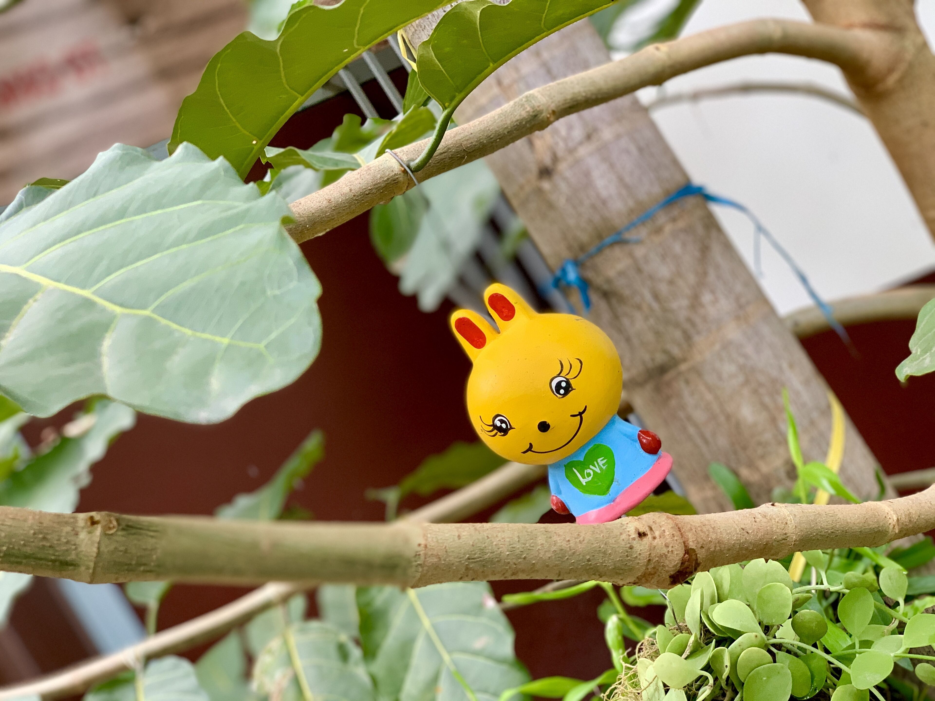 Photo - Canary Bungalow