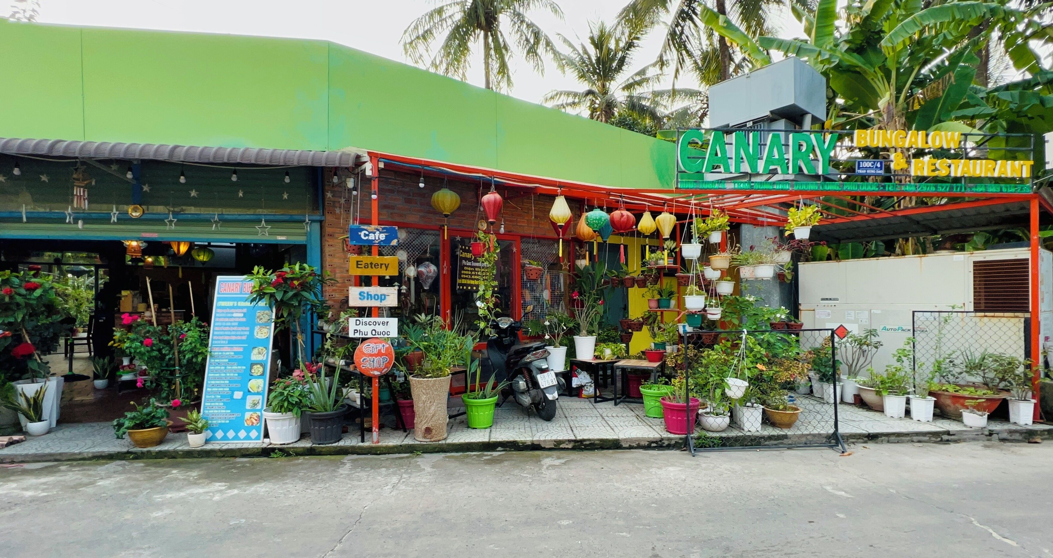 Photo - Canary Bungalow