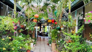 Un jardín interior estrecho con diversas plantas y adornos colgantes.