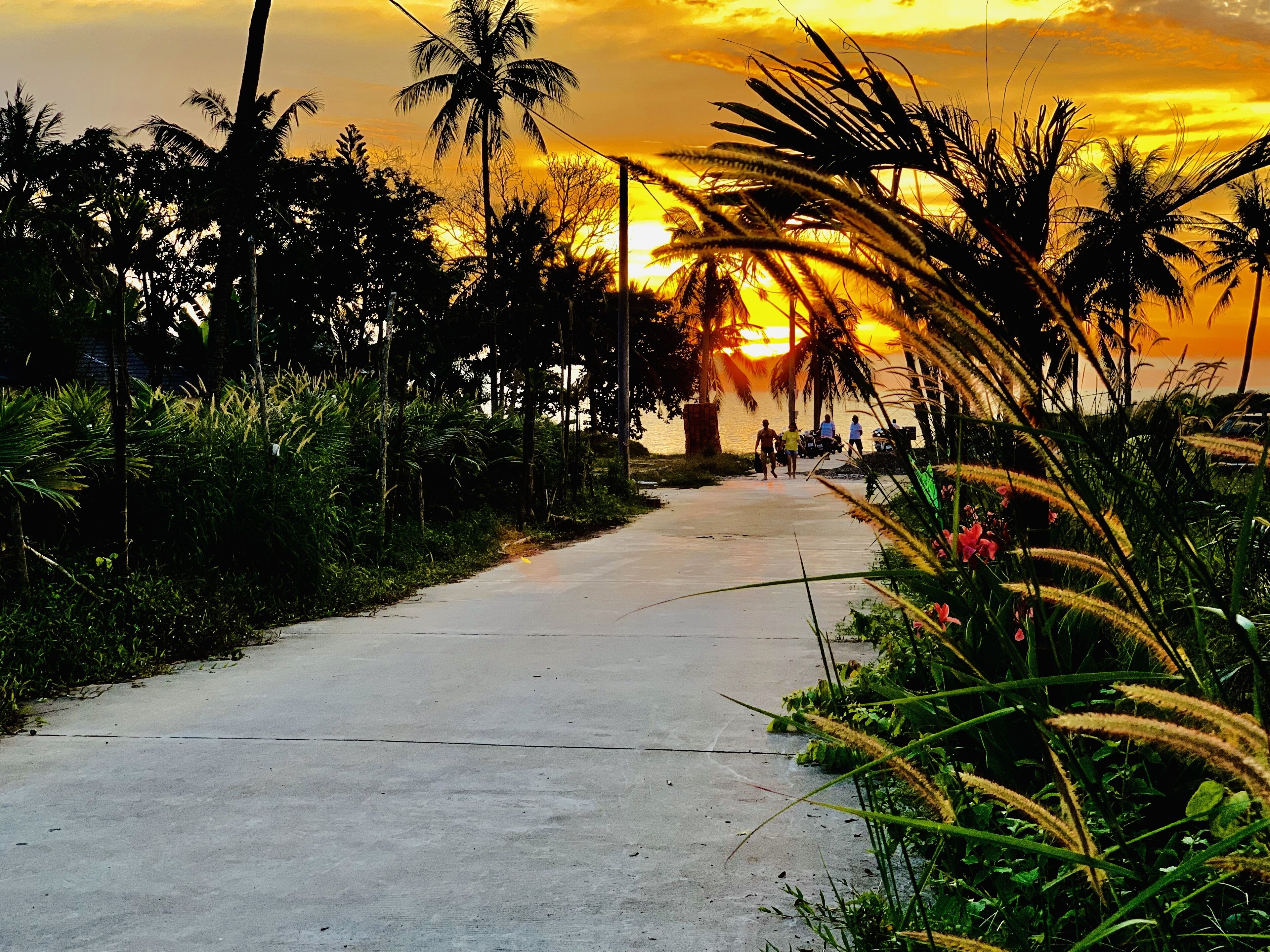 Photo - Canary Bungalow