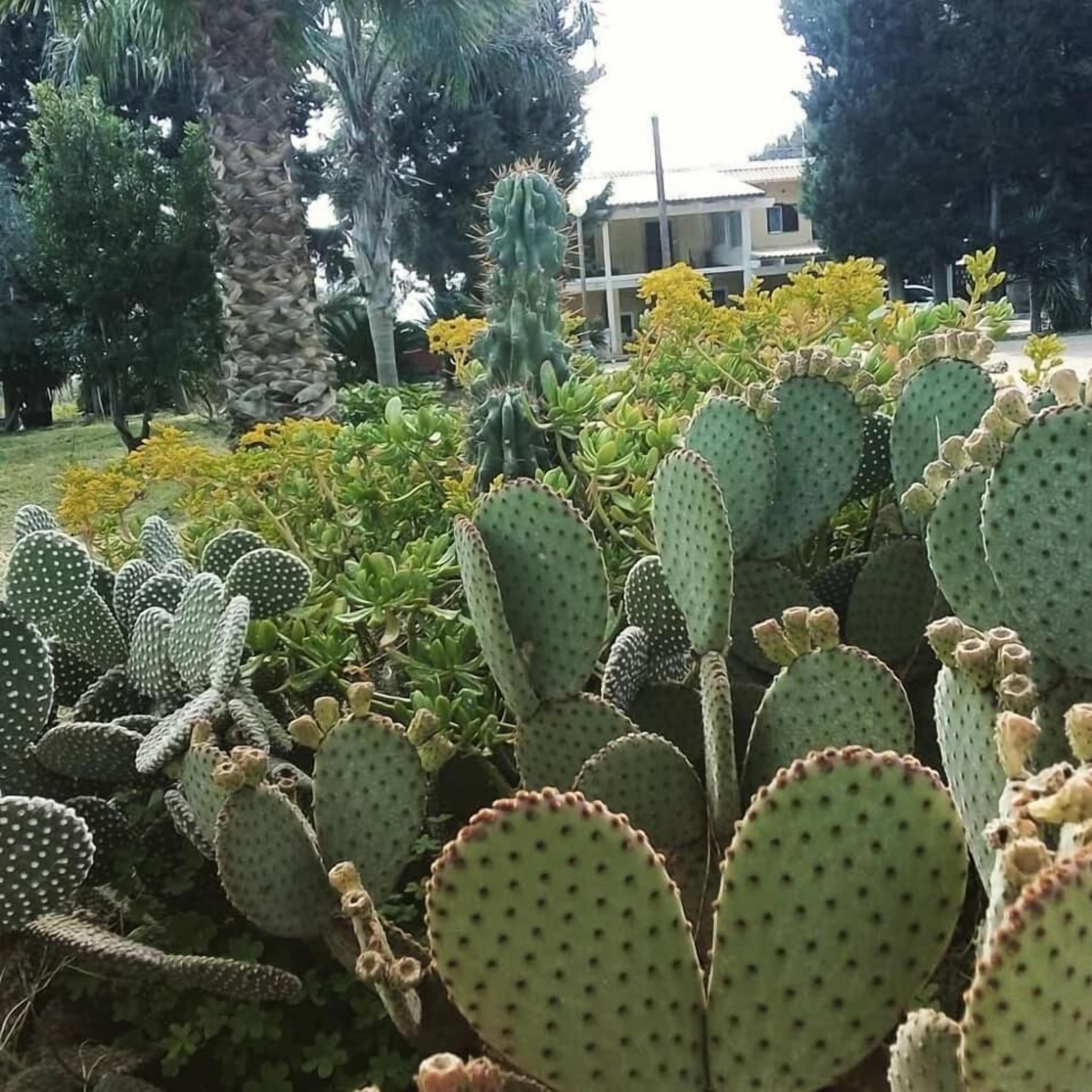 Parco della struttura