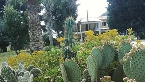 A garden with various cacti and succulents, a palm tree, and a building in the background. - Verdeoliva Bed & Breakfast (Bari)