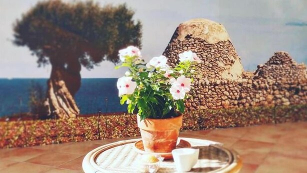 A round table with a potted plant and a cup, set against a backdrop of a stone wall and a tree. - Verdeoliva Bed & Breakfast (Bari)