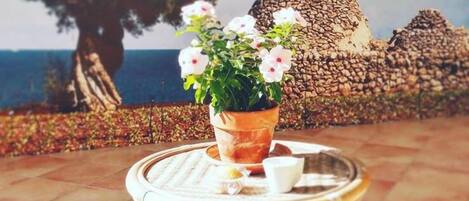 Àrea exterior de l'allotjament