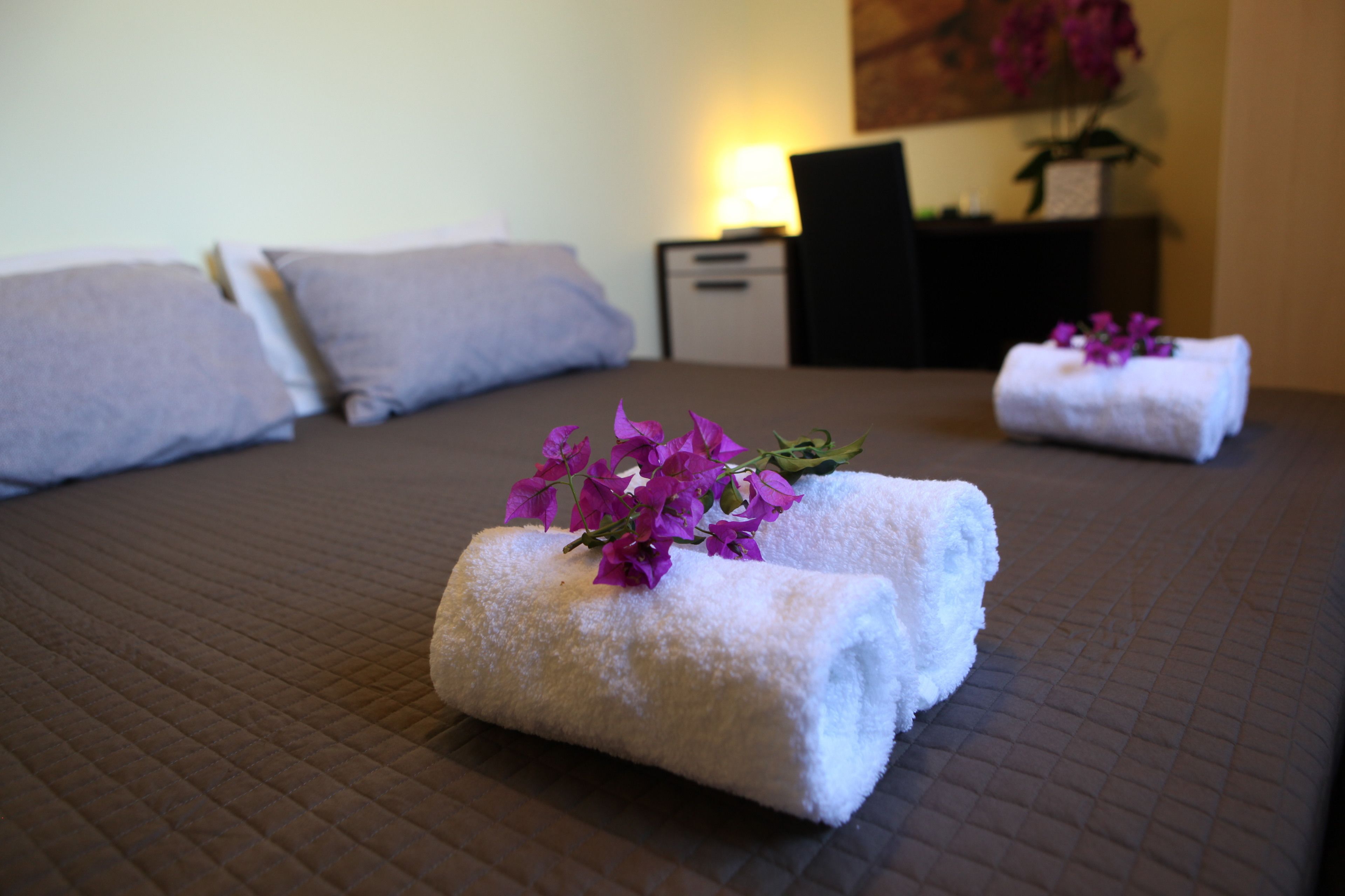 Doccia, set di cortesia gratuito, asciugacapelli, bidet