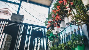 A greenhouse with hanging flower pots and plants. - Villa Homestay Minh Hieu (Lam Vien - Da Lat)
