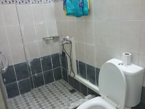 Une salle de bain avec des toilettes, une douche et un lavabo.