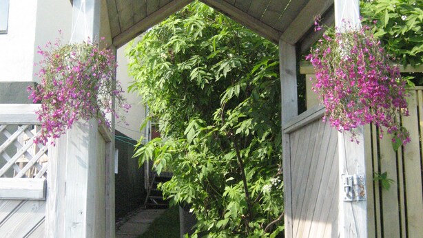 A wooden archway with hanging flowers leading to a staircase. - Guesthouse Sólgarðar (Akureyri)