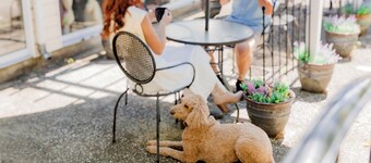 Montgomery Inn BnB