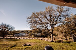 Signature Cabin | Terrace/patio