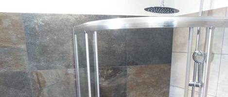 A glass-enclosed shower stall with a handheld showerhead, a toilet paper holder, and a trash can.