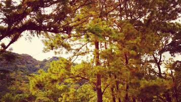 Voorkant van accommodatie