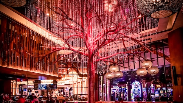 Un vaste espace intérieur agrémenté d’une grande structure arborée illuminée, de coins salon et d’un bar où l’on aperçoit, au fond, des machines de jeux.