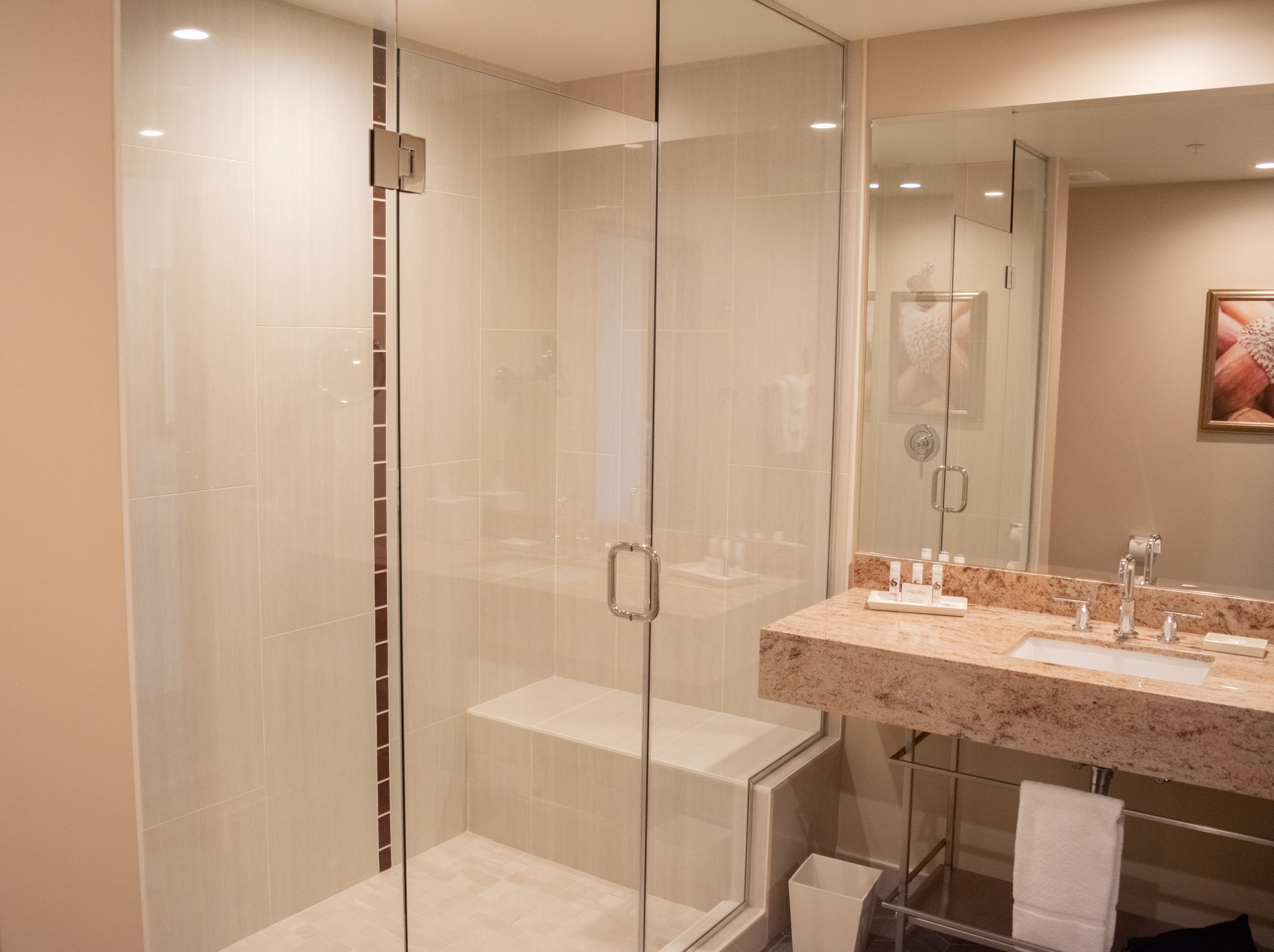 shower, free toiletries, hair dryer, towels