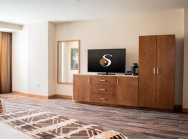 Habitación de hotel con un armario grande, un televisor de pantalla plana, cafetera y alfombra estampada.