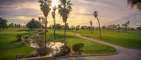 A golf course with palm trees, a pond, and a well-maintained green.