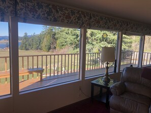 Smart TV, fireplace, video games, DVD player