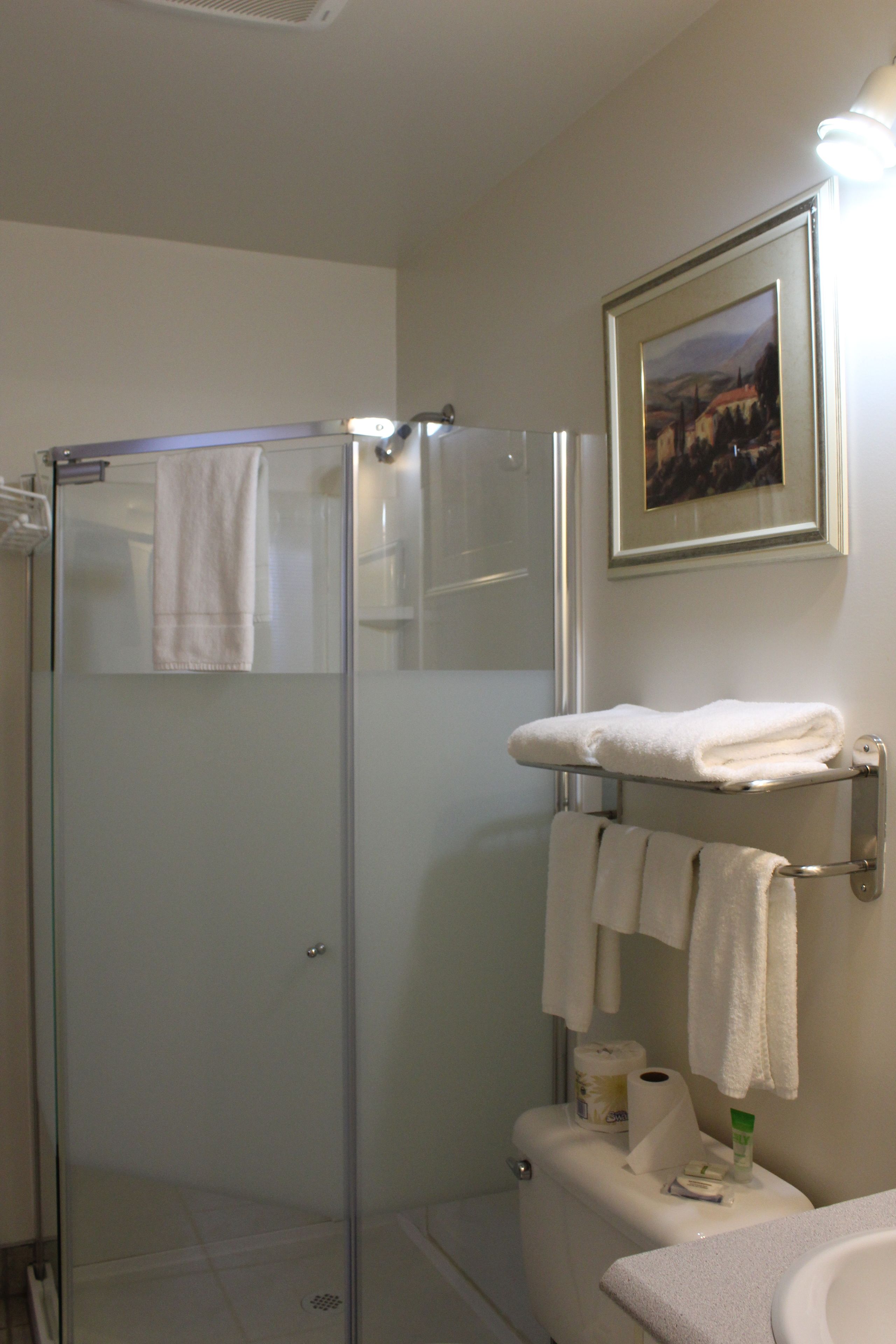 economy single room, 1 double bed | bathroom | combined shower/bathtub, free toiletries, hair dryer, towels