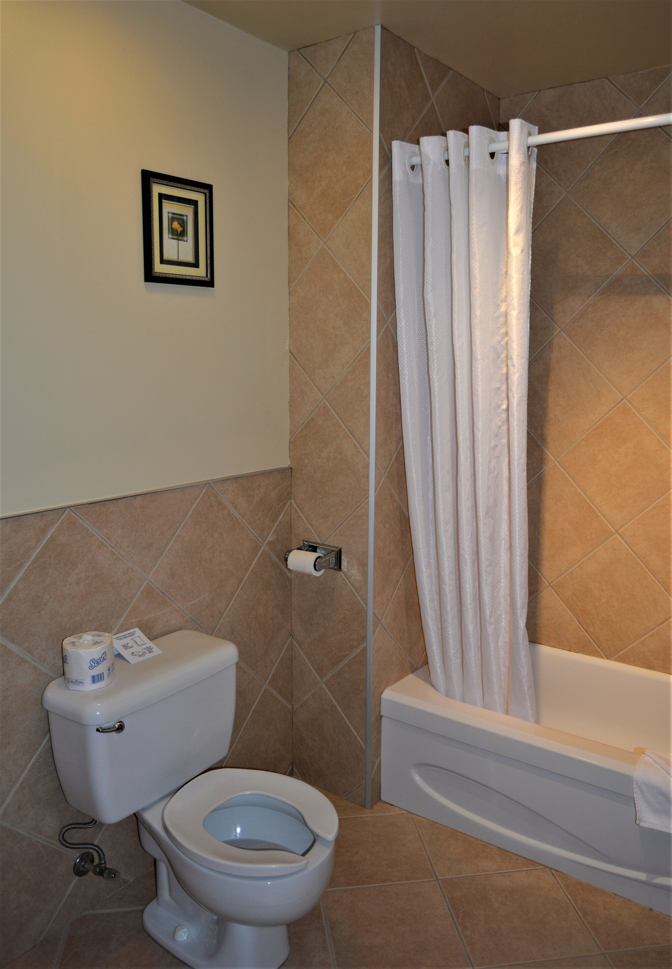 standard suite, 1 queen bed | bathroom | combined shower/bathtub, free toiletries, hair dryer, towels