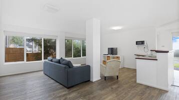 Smart TV, fireplace, DVD player, ping pong