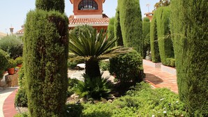 Un jardín bien cuidado, con setos ordenados y una palmera en el centro.