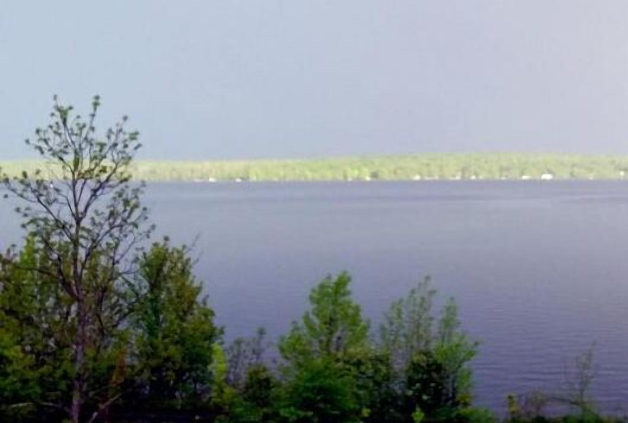 A view of a calm lake with trees in the foreground and a distant shoreline.
