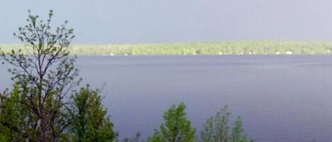 A view of a calm lake with trees in the foreground and a distant shoreline.