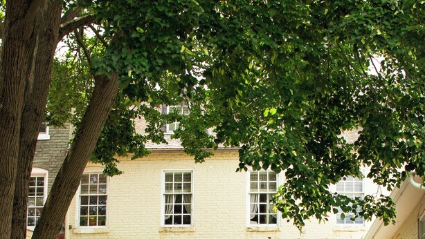 Un edificio amarillo con un patio cubierto, mesas al aire libre y un árbol.