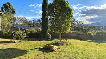 Jardines del alojamiento