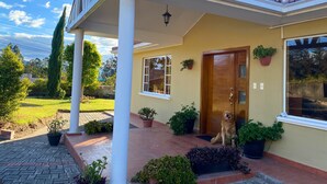 A house with a porch, a wooden door, and potted plants.