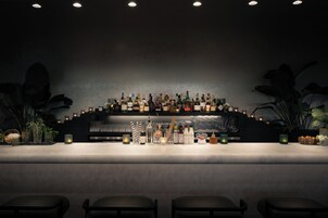 Een bar met een lange toonbank, diverse flessen, glazen en enkele potplanten.