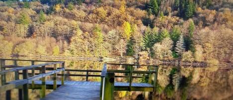 Un pont de fusta que s'endinsa en un llac tranquil, envoltat d'arbres de tons tardans i un paisatge amb pendent.