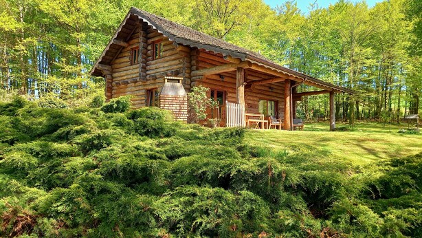A log cabin with a porch and a chimney, surrounded by dense green foliage.