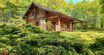 3 lakes cottage ideally located in the heart of the Natural Park of Millevaches