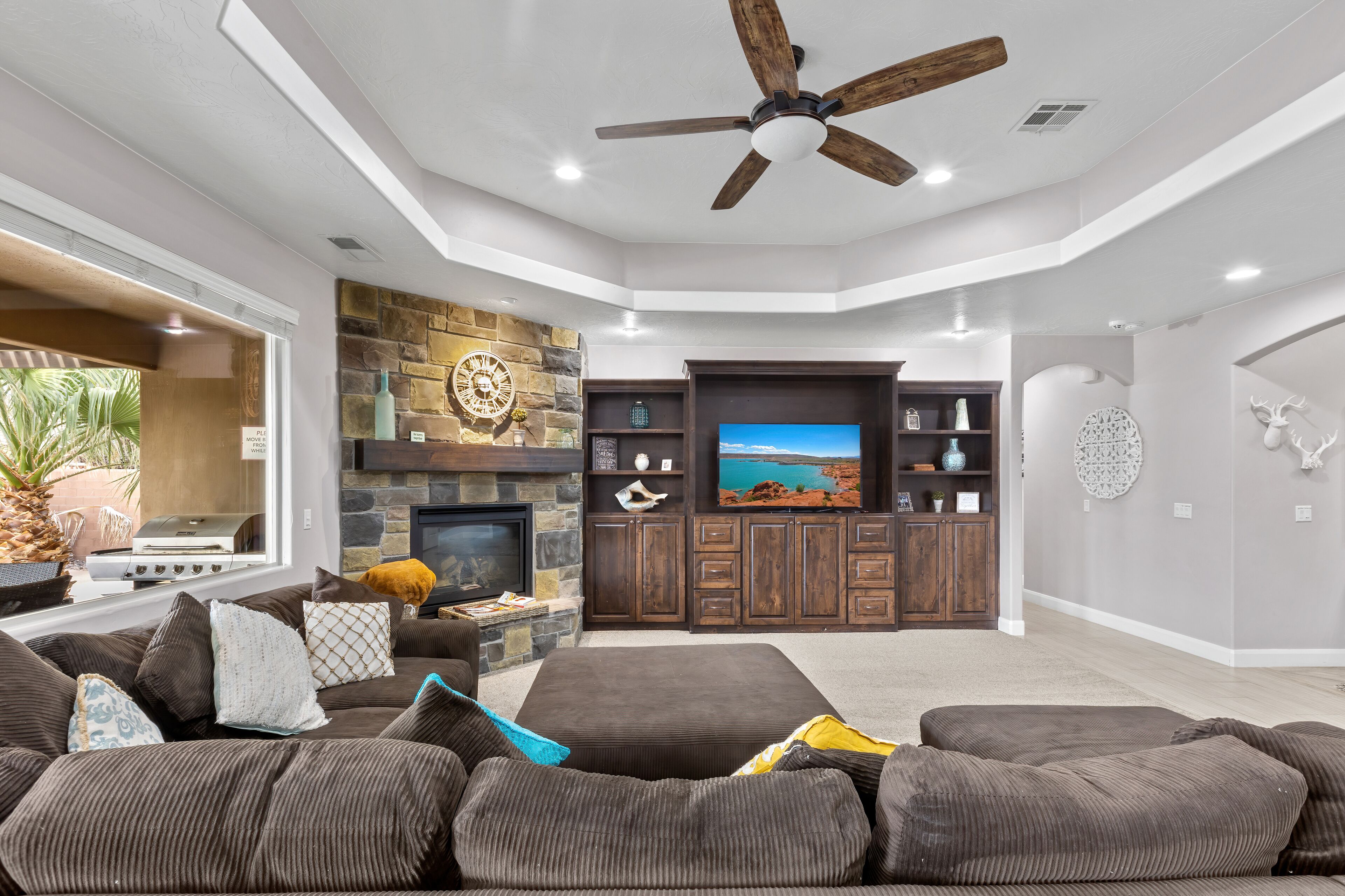 TV, fireplace, books