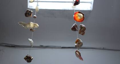 The Buom House - Life.Love.Art | 500m to the beach