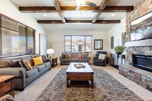 TV, fireplace, video games, books