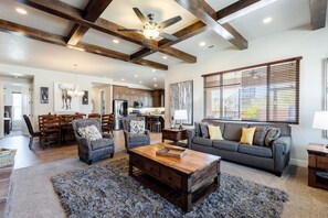 TV, fireplace, video games, books