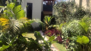 Un exuberante jardín con diversas plantas tropicales y un sendero que conduce a la entrada de un edificio.