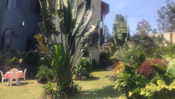 Una casa con un jardín grande, con diversas plantas y un patio con sillas.