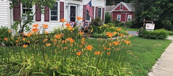 Mulberry Bed & Breakfast