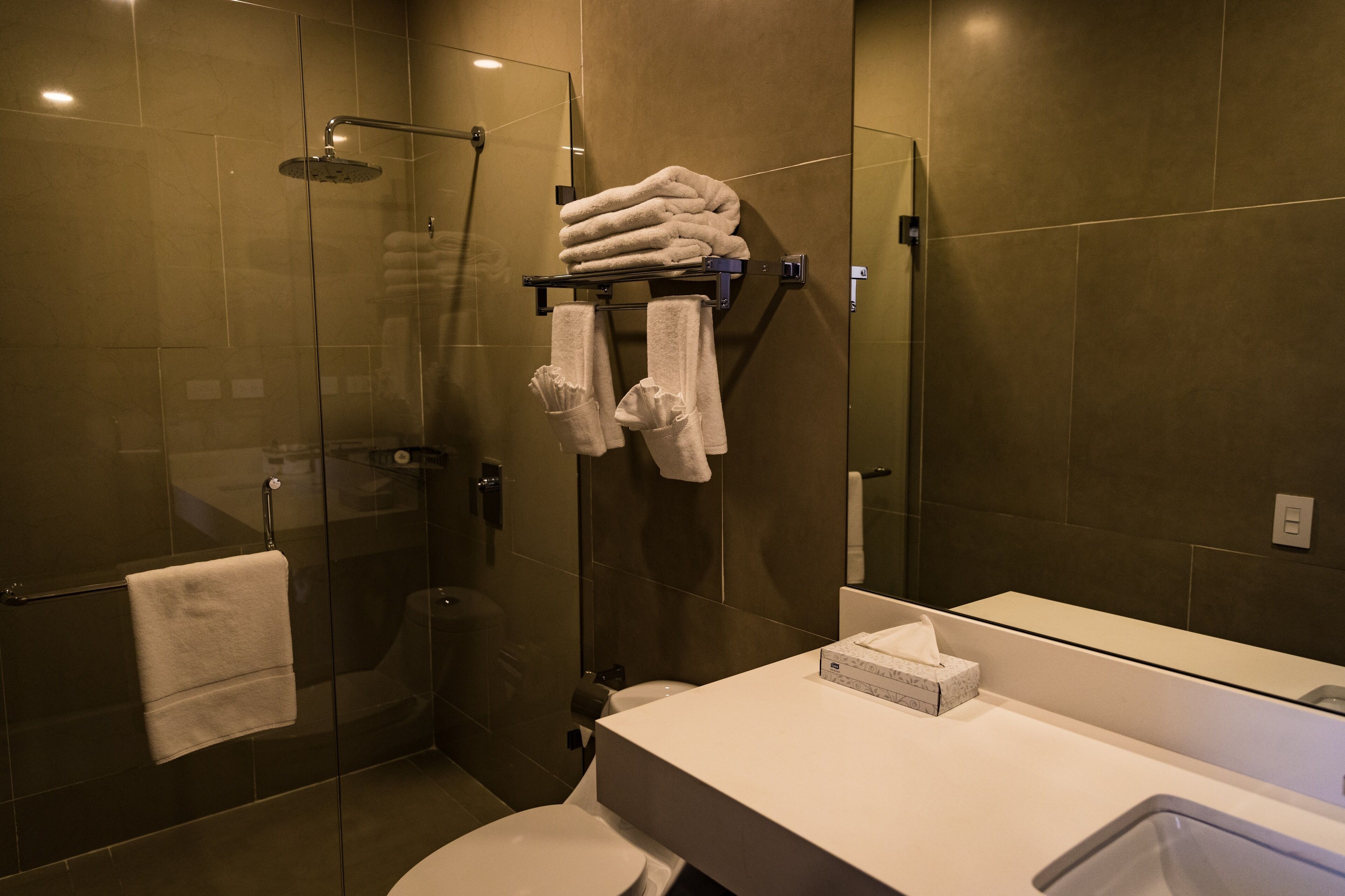 shower, free toiletries, hair dryer, towels